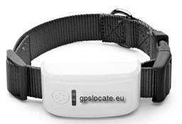 Show details for Pet GPS Tracker Picture of Pet GPS Tracker